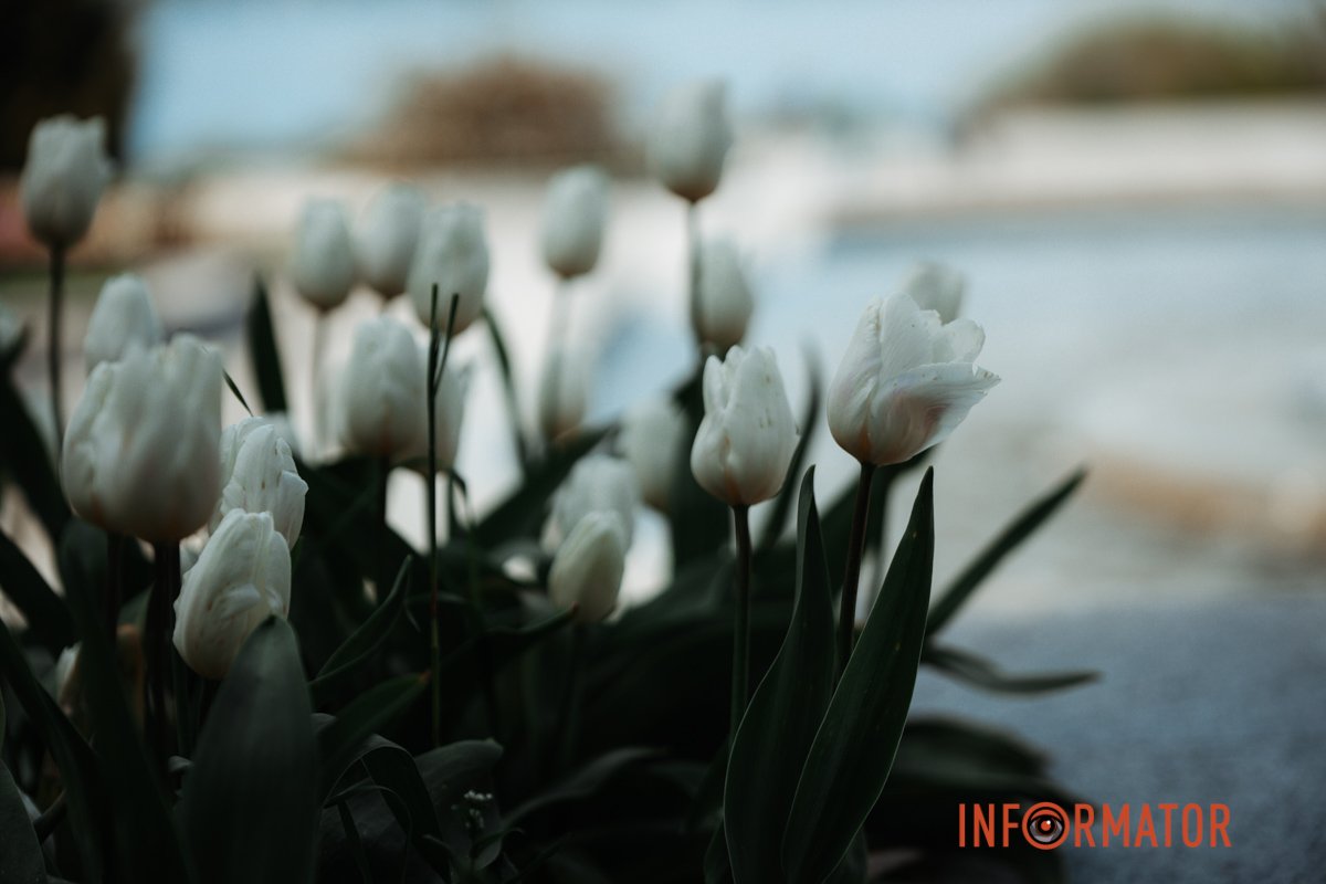 Як на картинці 