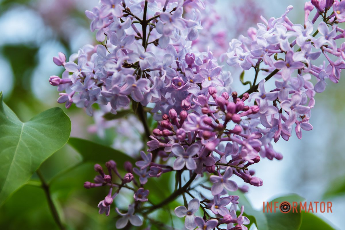 Гарний ракурс