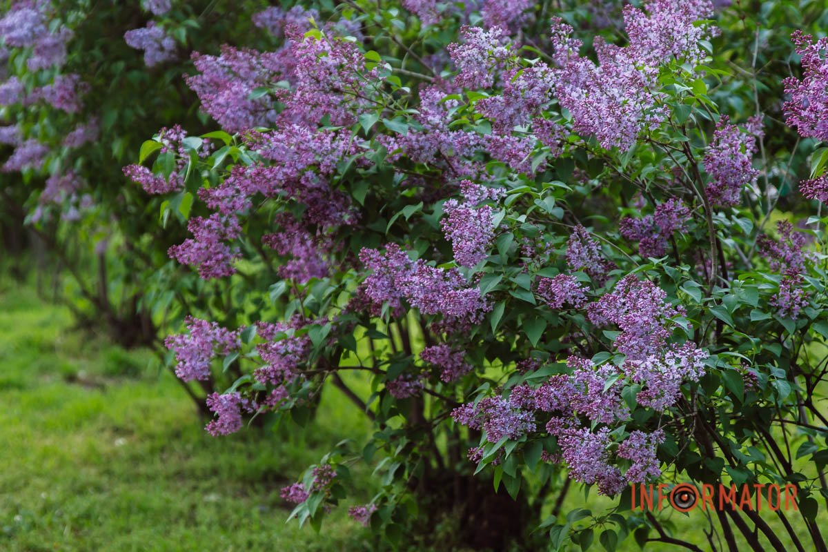 Спеціально для Вас