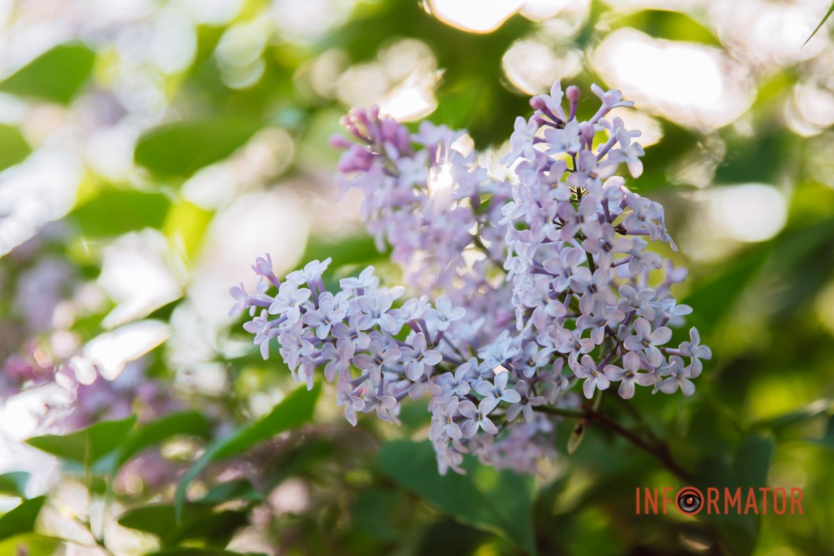 А ви зробили такі фото?