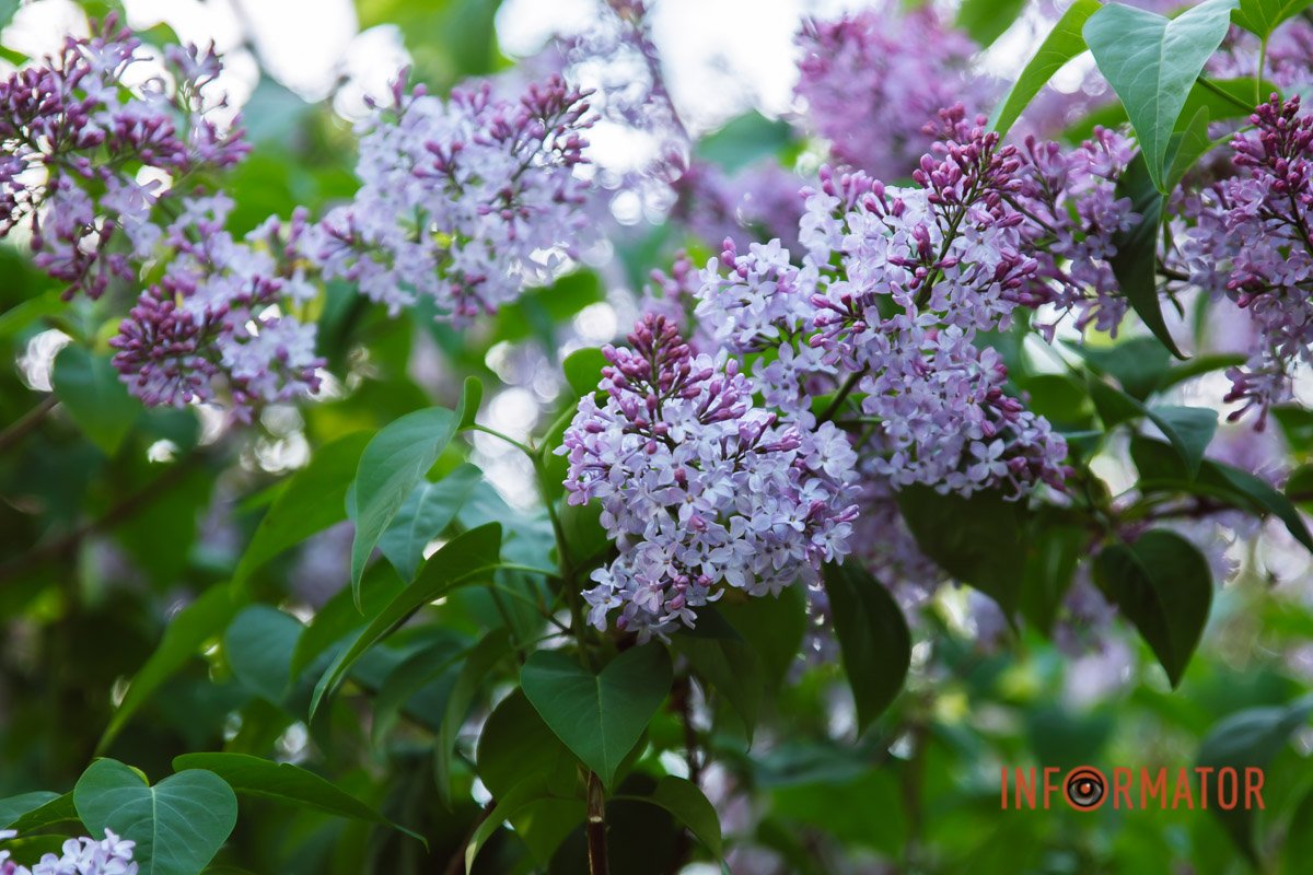 Неймовірно