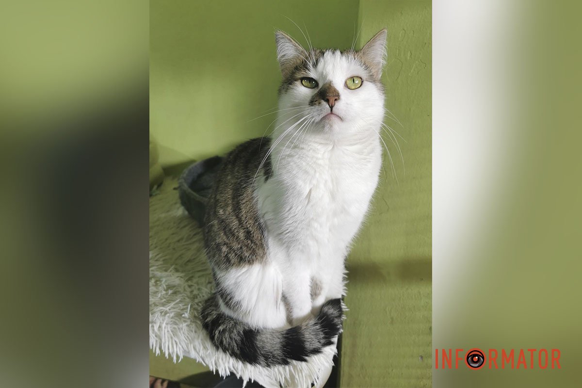 Каспер тихий та спокійний Каспер тихий та спокійний