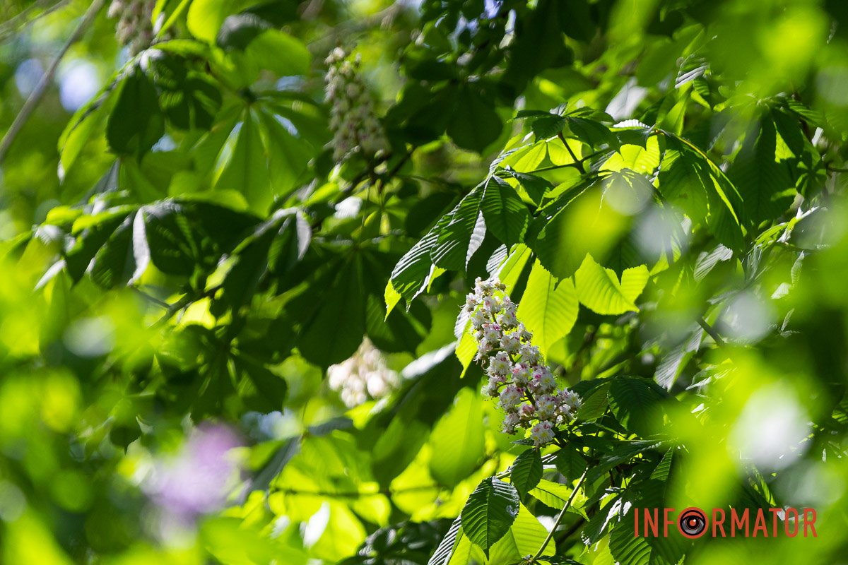 Трохи ефектів 