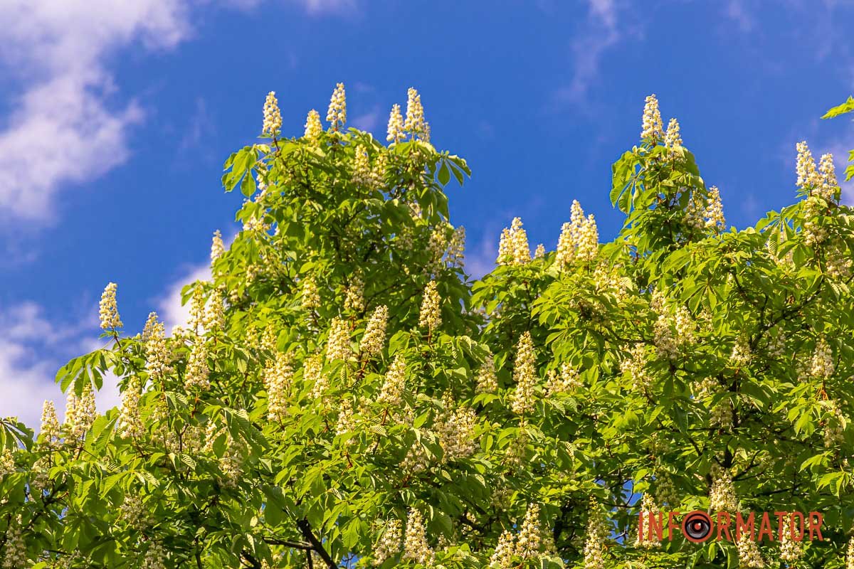 Символ тепла