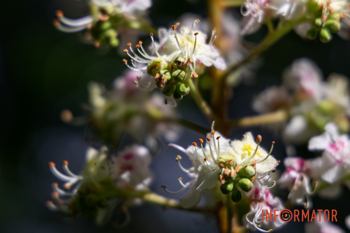 Зберігайте 