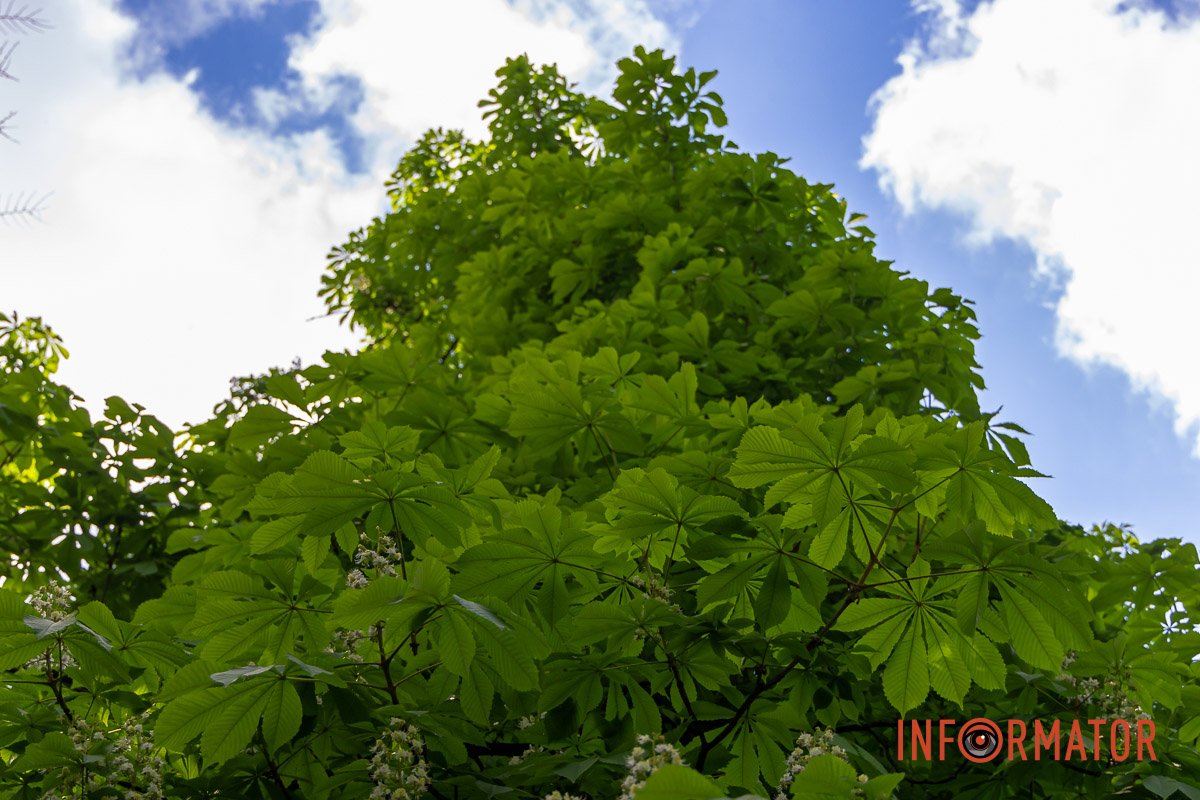 Насолоджуйтесь красою