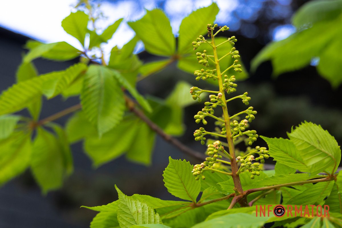 Лови момент
