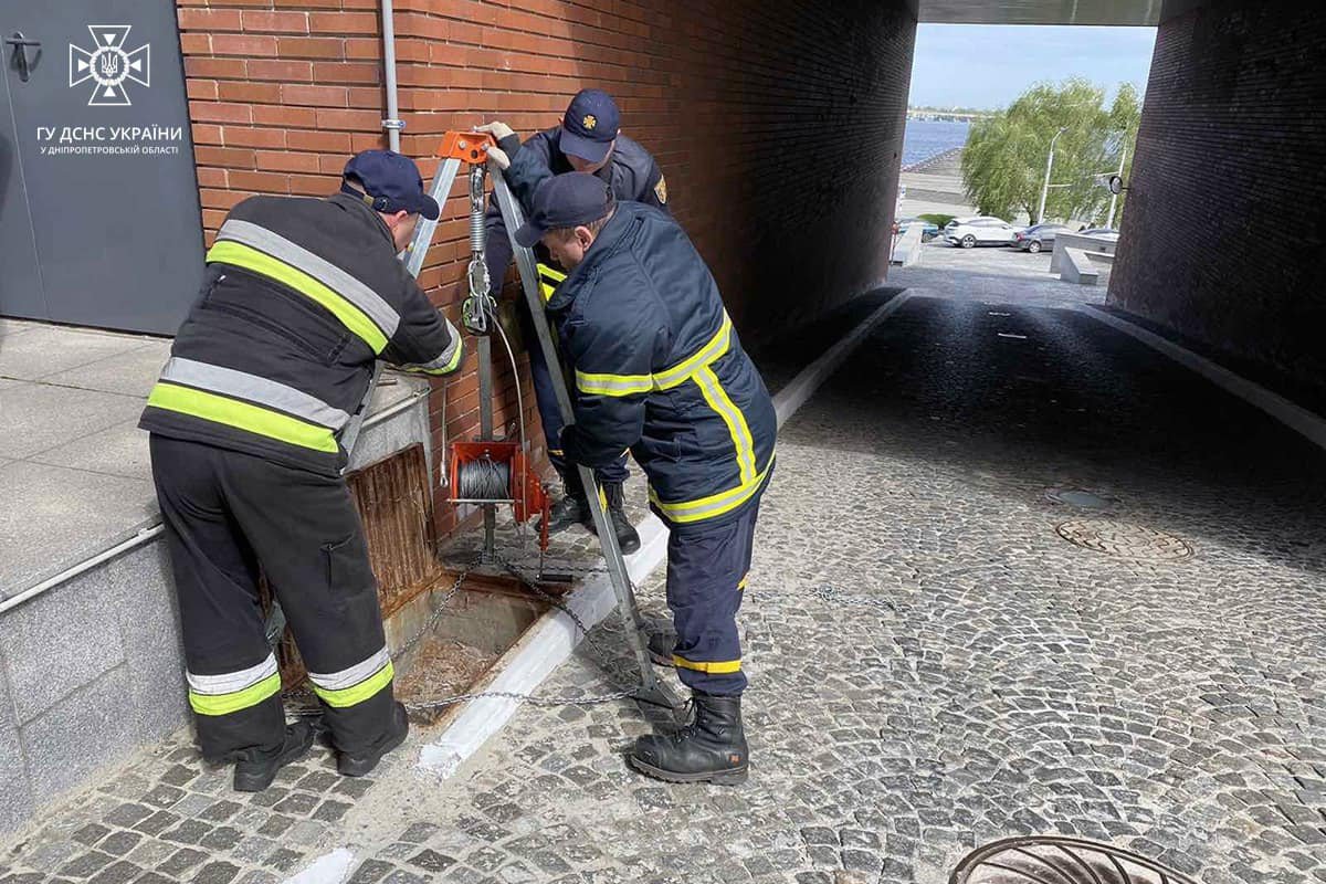 Каченят врятували Каченят врятували