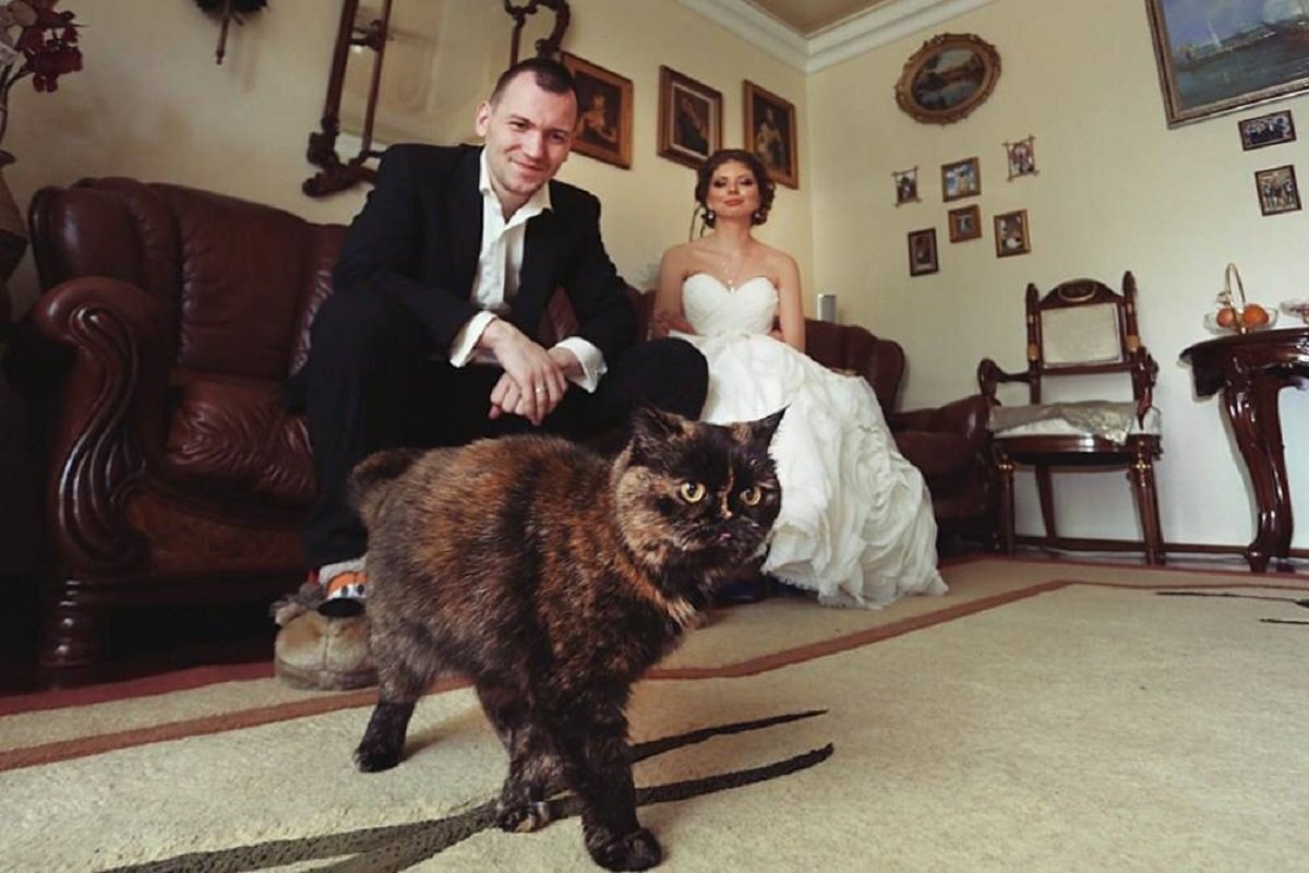 Так виглядало житло у 2014 році. Фото: Facebook Денис Гороховський Так виглядало житло у 2014 році. Фото: Facebook Денис Гороховський