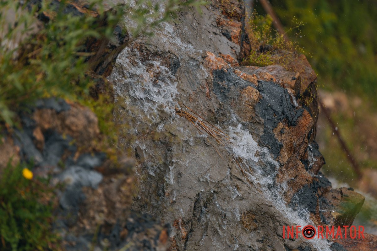 Фото: Денис Чубченко