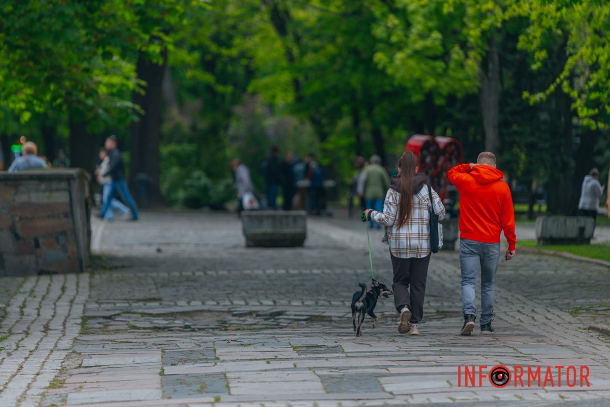 Сімейні прогулянки