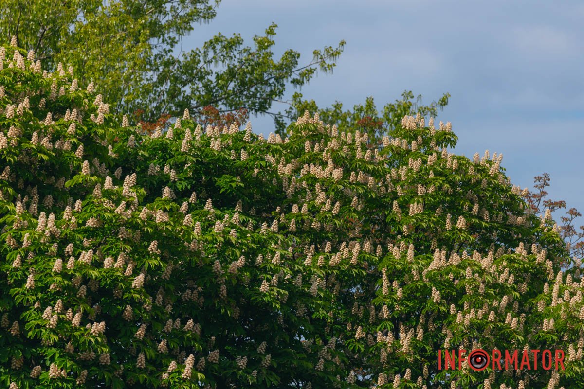 Дніпро гарний за будь-якої погоди
