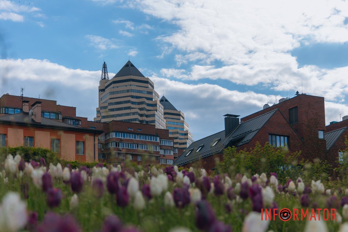 Дивовижне фото