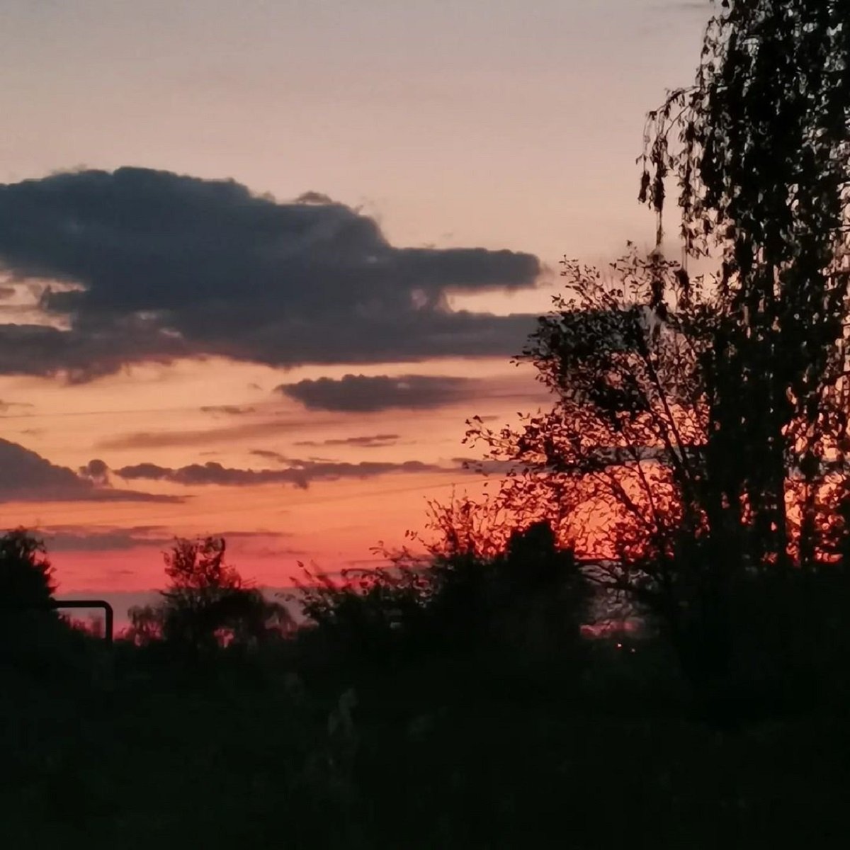 Фото: @_oksanika Фото: @_oksanika