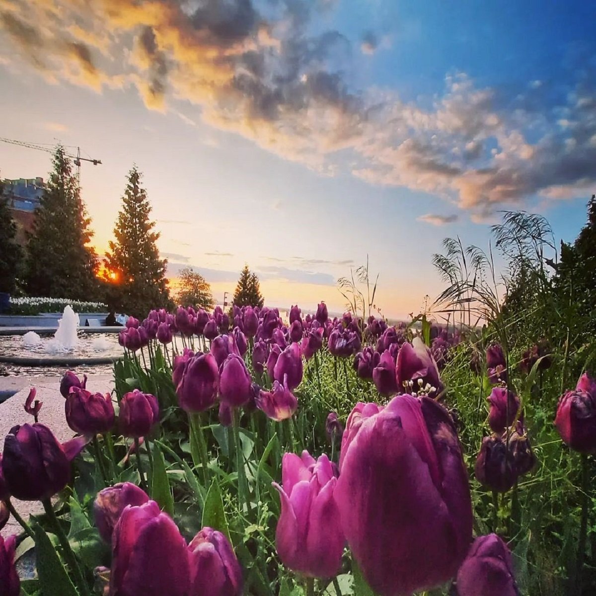 Фото: @detomaso17 Фото: @detomaso17