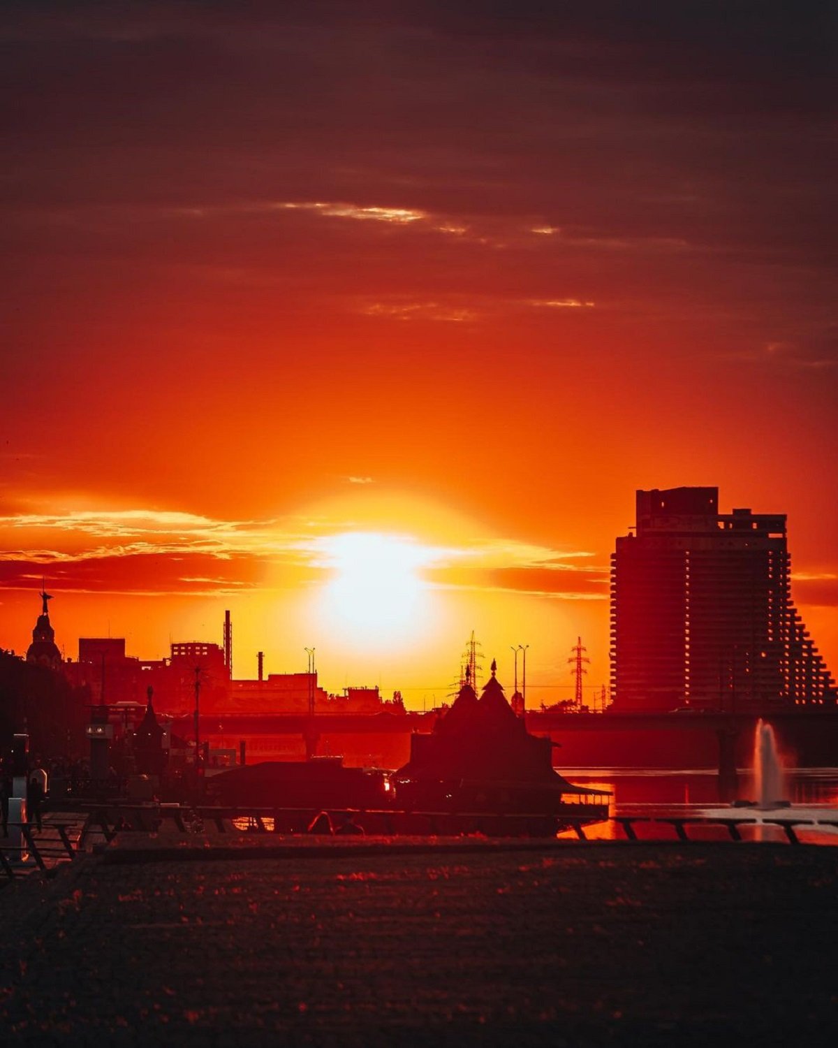 Фото: @hamster_dp_ua Фото: @hamster_dp_ua