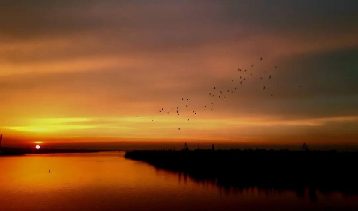 Фото: @photographer_andrey_moroz Фото: @photographer_andrey_moroz