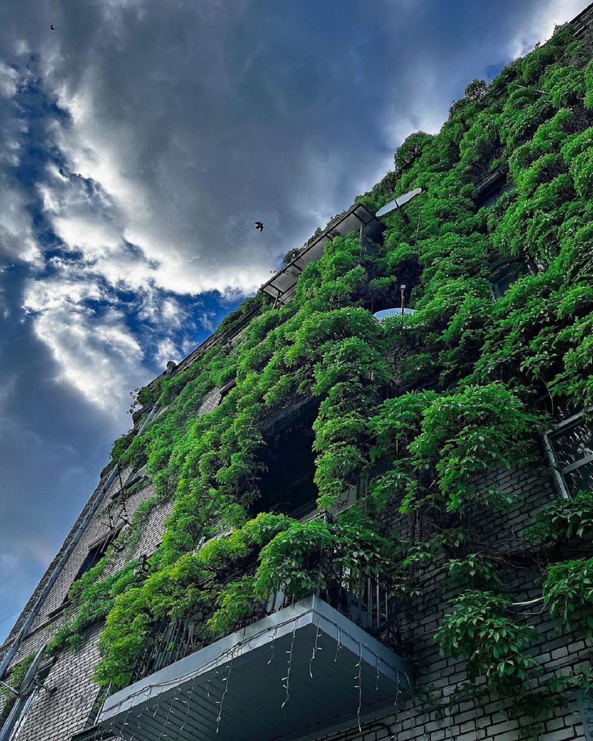 Фото: @svet_ulyalya Фото: @svet_ulyalya