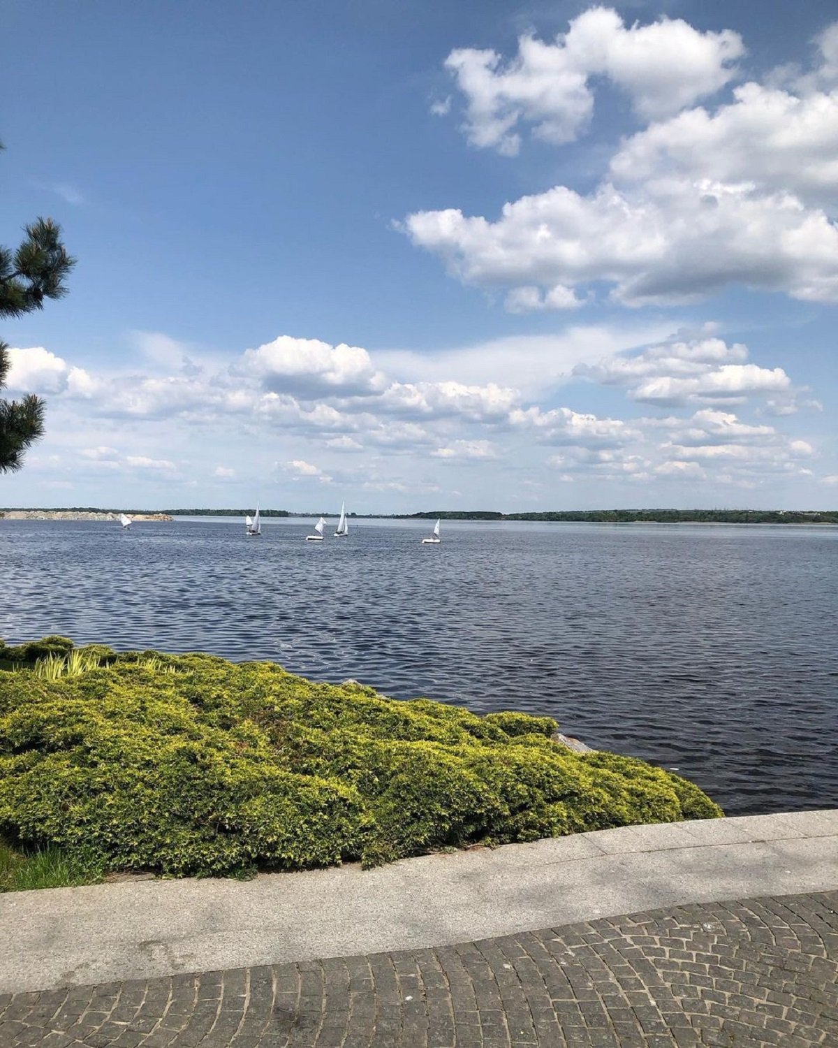 Фото: @vysotskaya.mariya23 Фото: @vysotskaya.mariya23