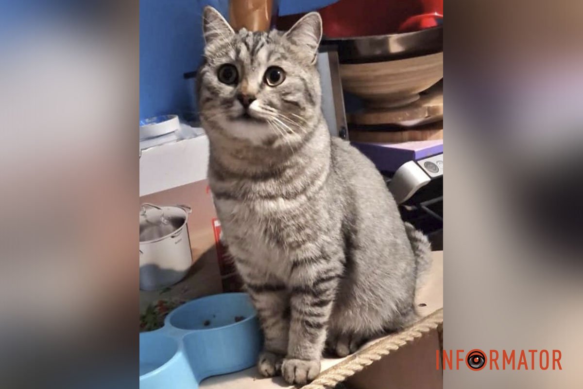 Каспер Каспер