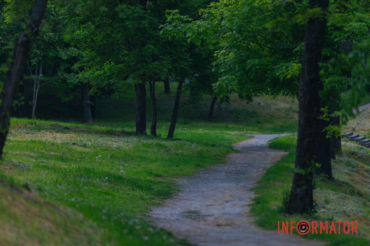 Стежка веде