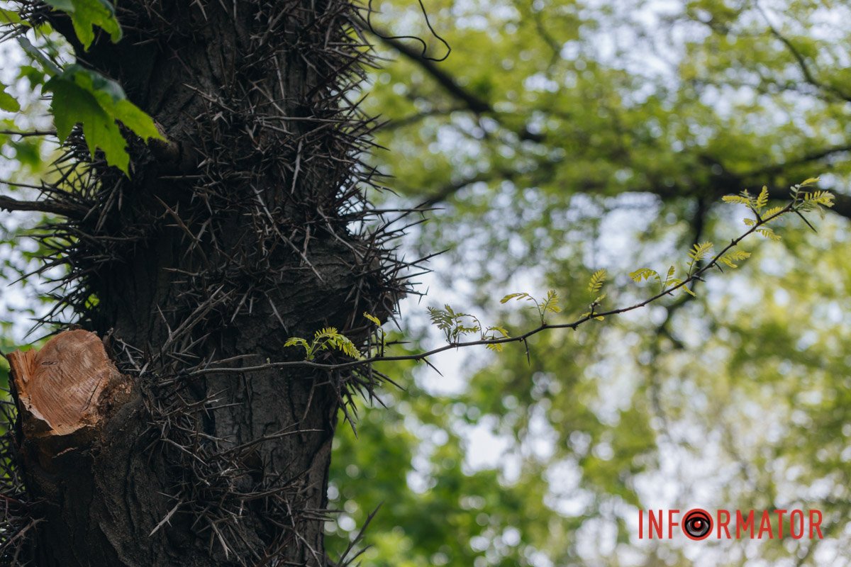 Я би не став лізти