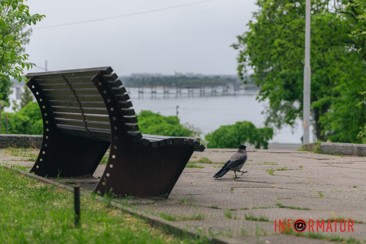 Це їх територія