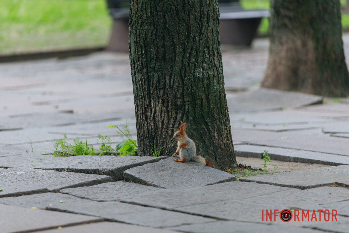 Який він маленький!