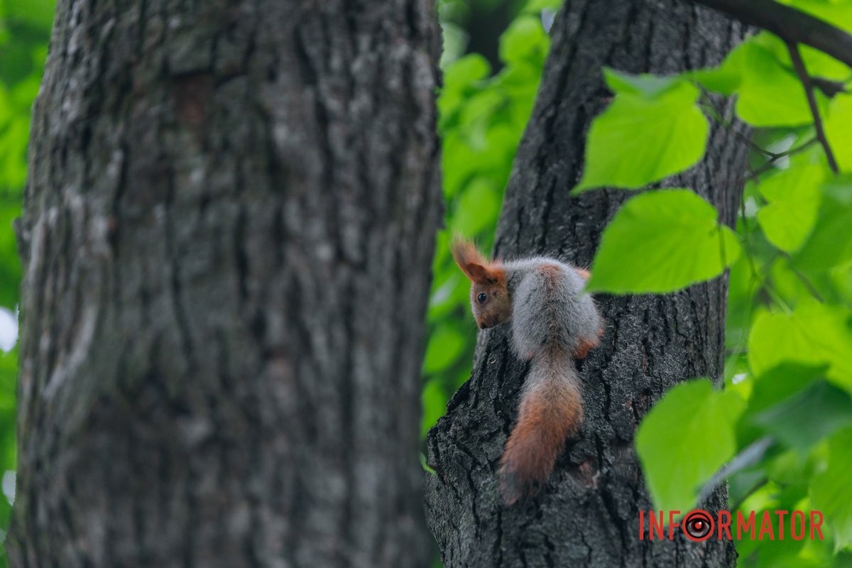 На щось чекає
