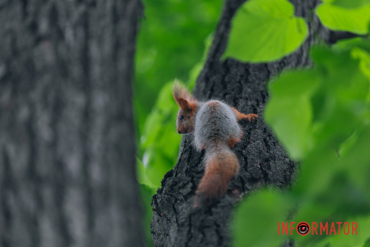 А хто це тут такий?