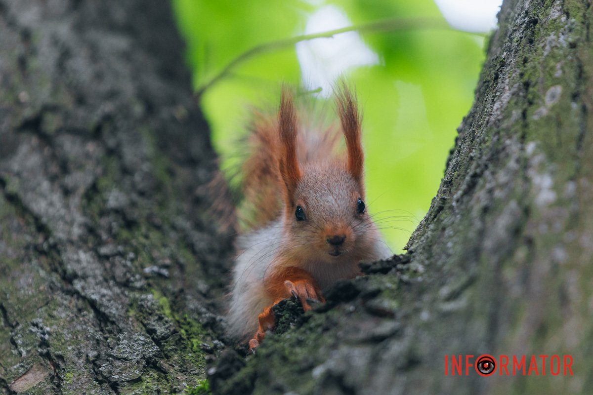 Це ж треба! Так позує