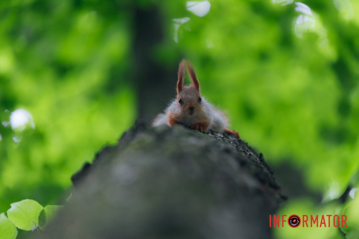 Тримається надійно