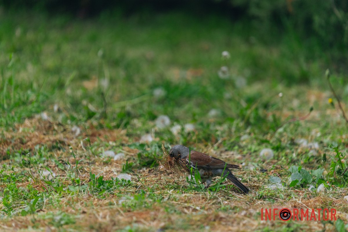 Все, я пішов