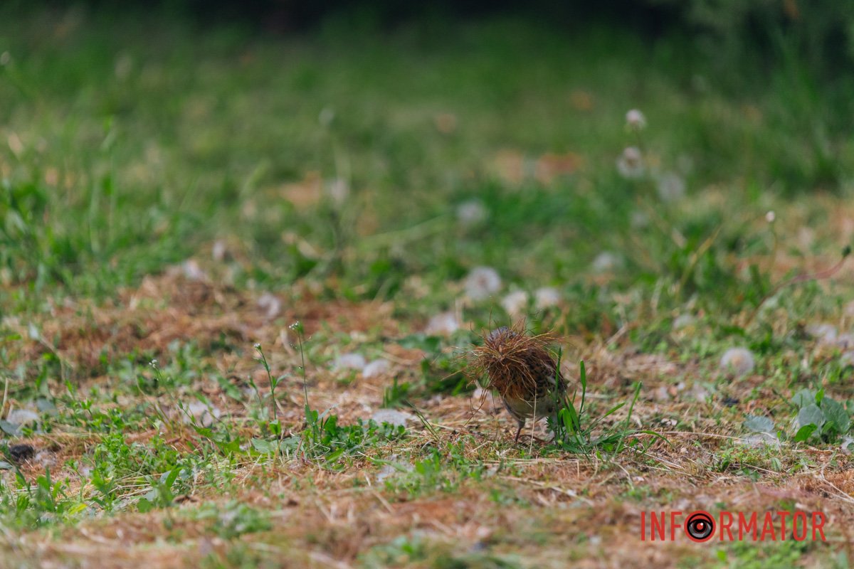 Чого ти мене фотографуєш?