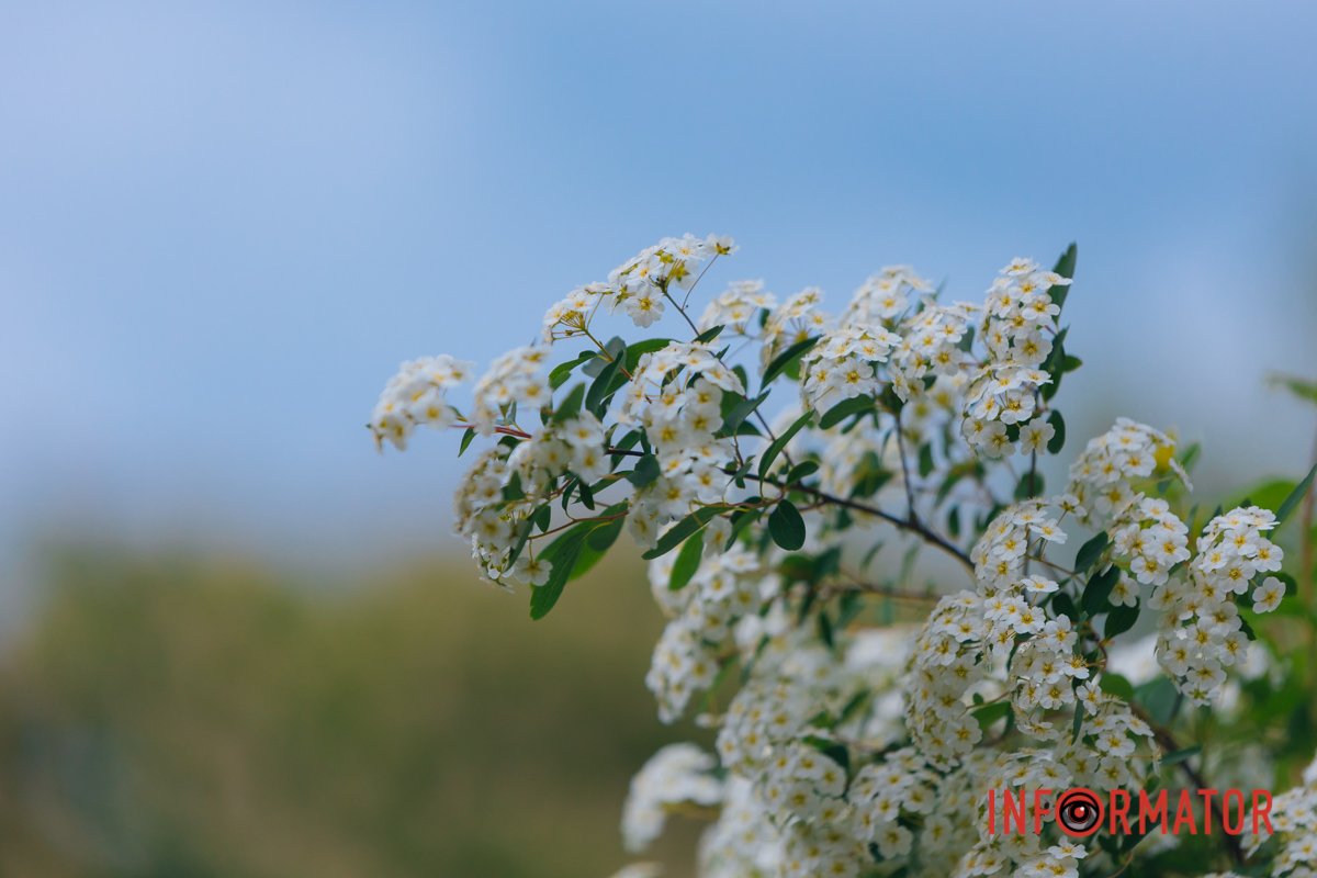 Віримо в ЗСУ!