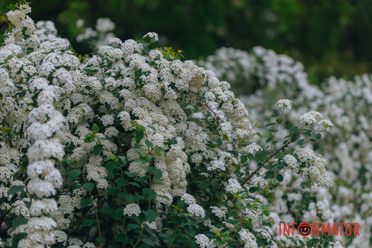 Цінуйте тих, хто поруч