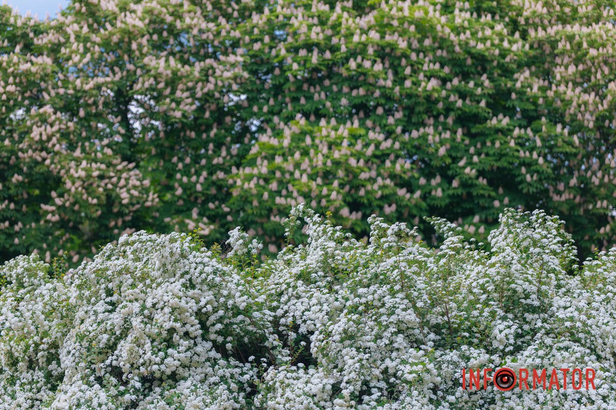 Мальовничо 