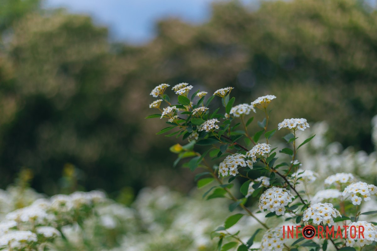 Україна переможе!