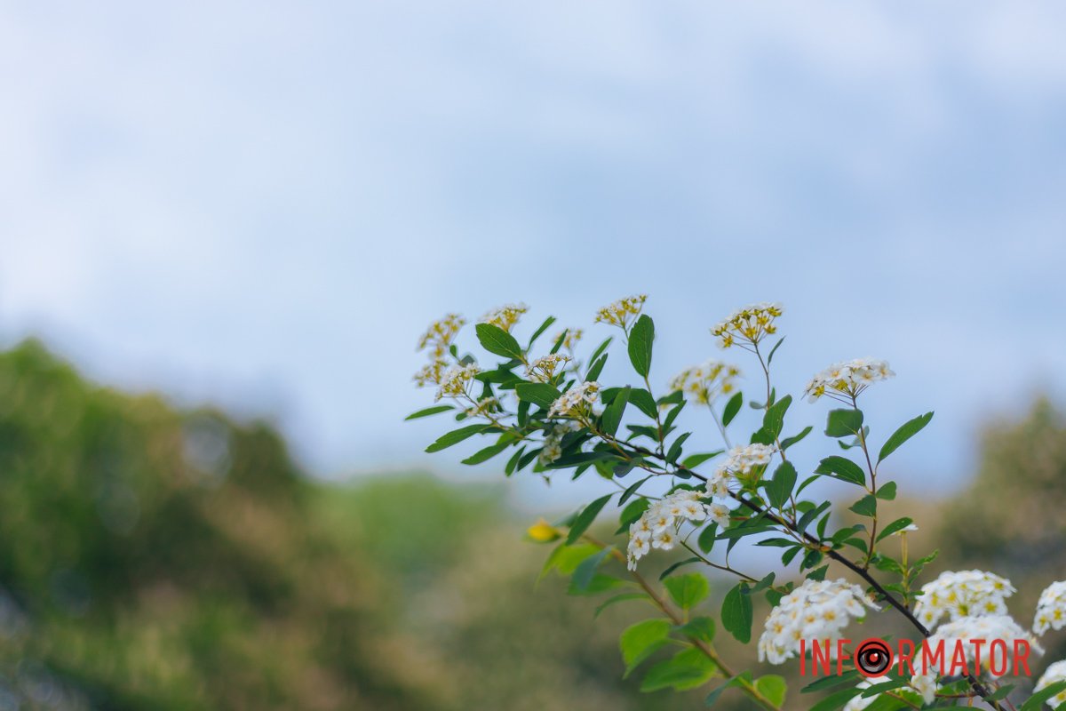 Цінуйте кожну мить