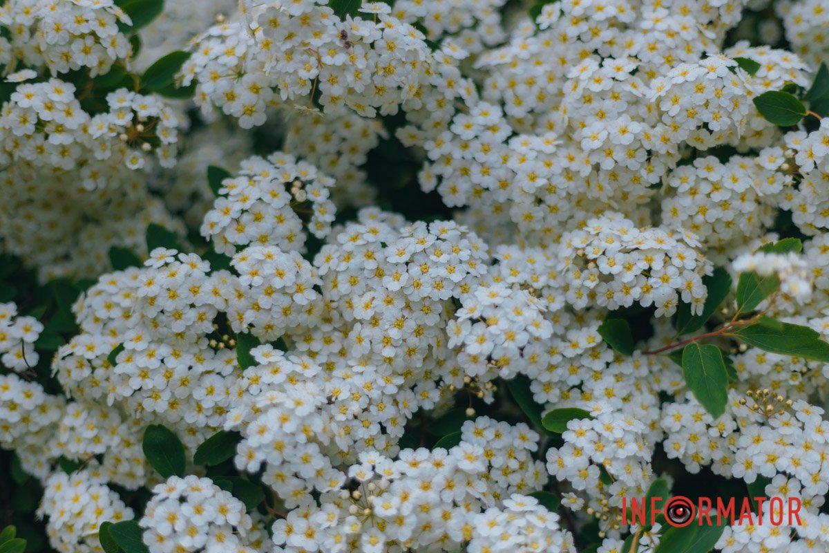 Подобається?