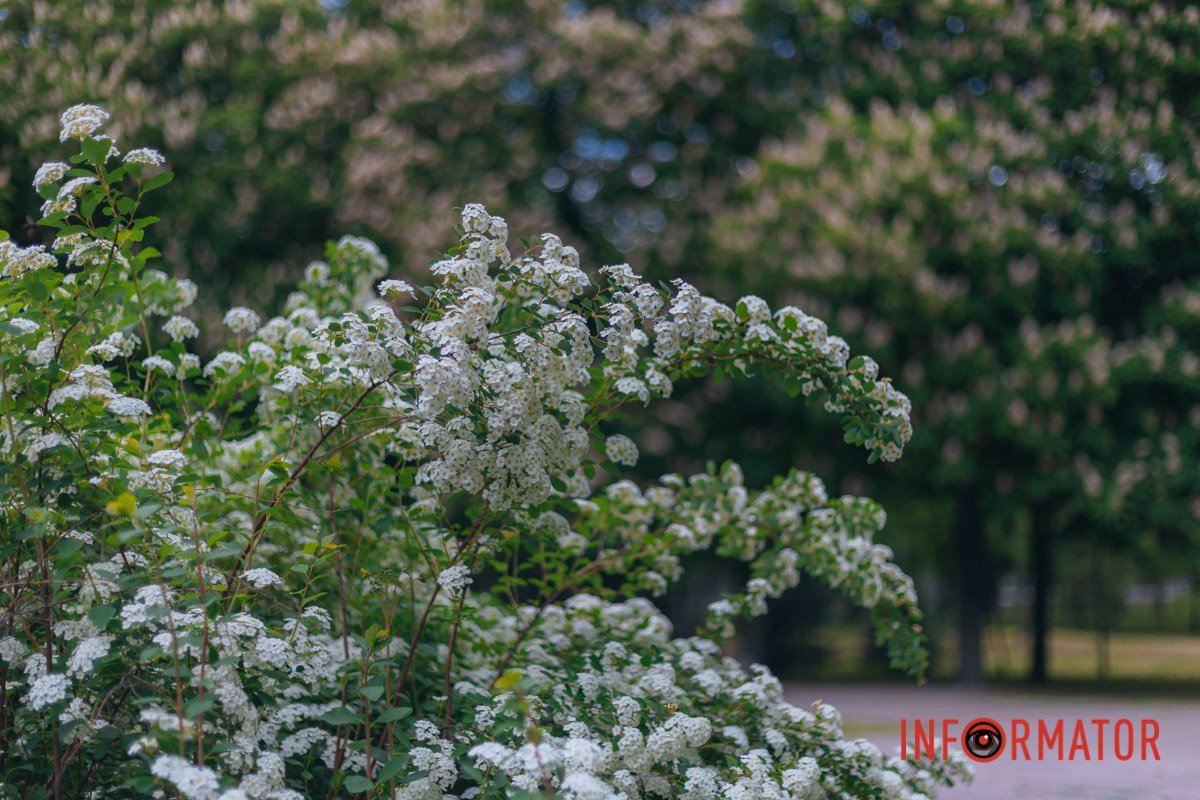 Неймовірно