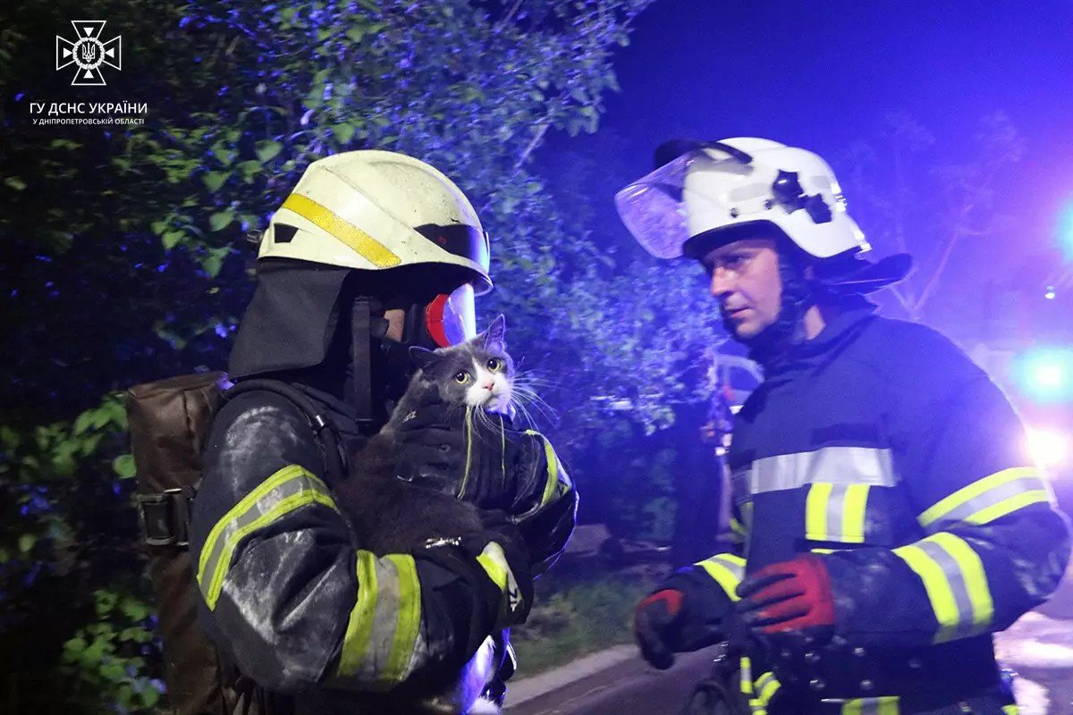 Працівники ДСНС врятували котика 