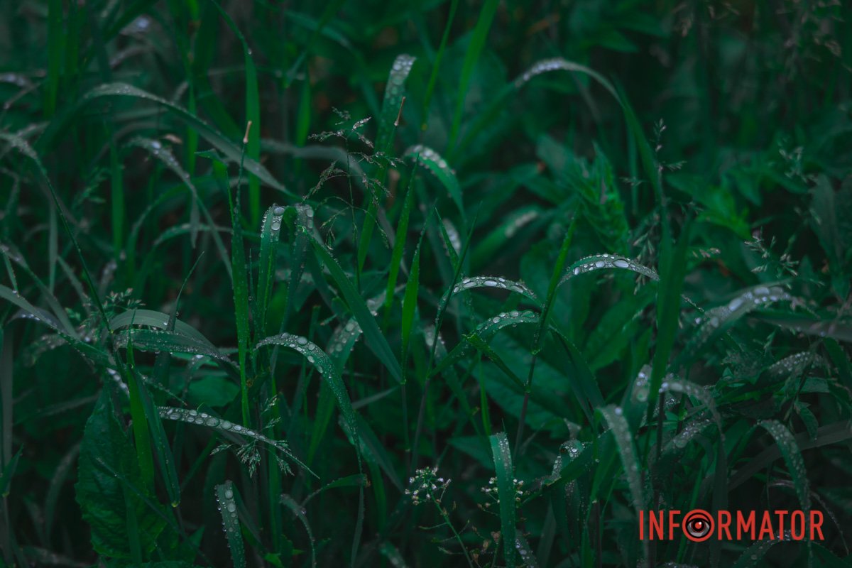 В "обіймах" дощу