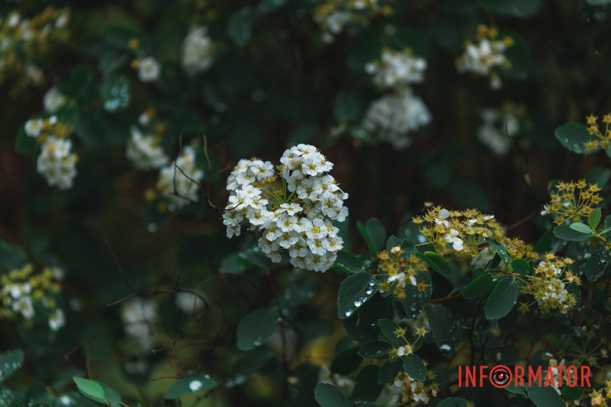 Ловіть момент