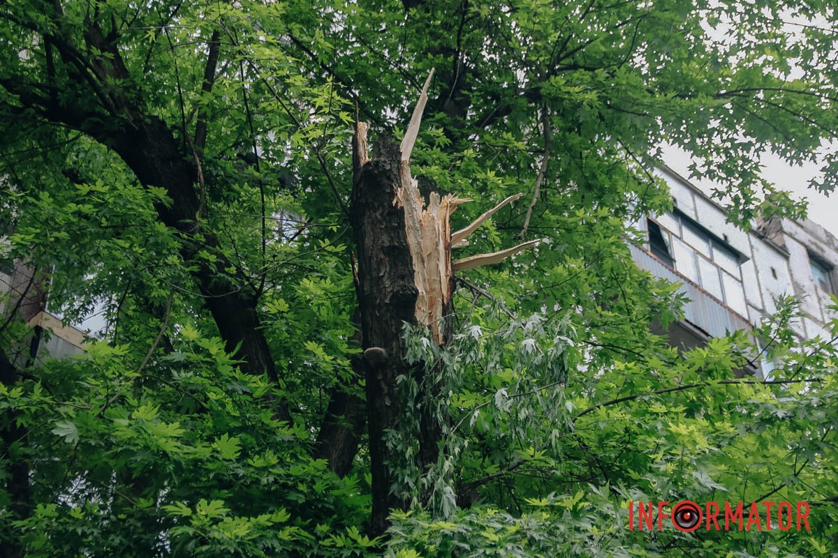 Фото: Владислав Степанов