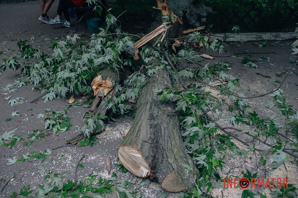 Розпиляне дерево