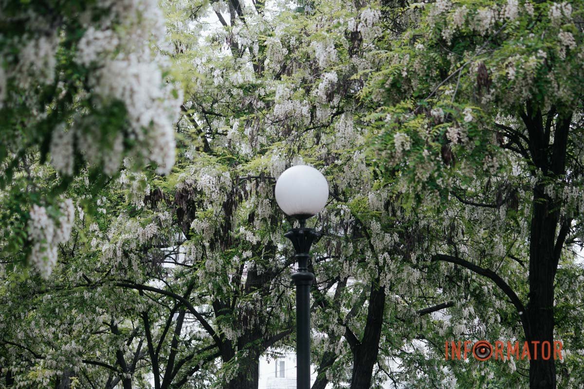 Захоплююче Захоплююче