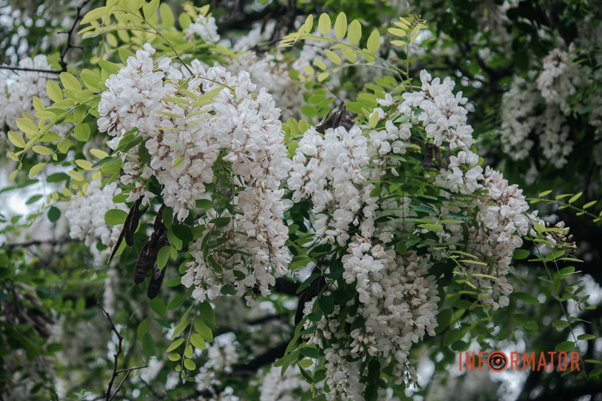 Знаходьте час для себе Знаходьте час для себе