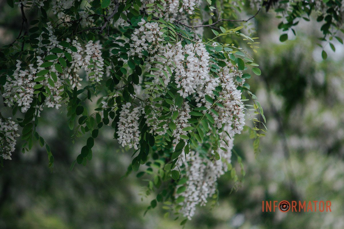 Неперевершено Неперевершено