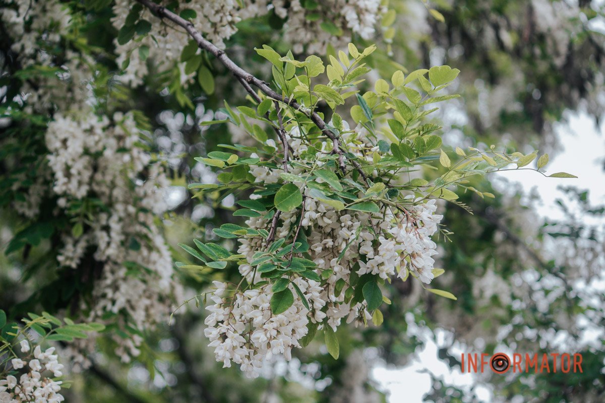 Ароматно Ароматно